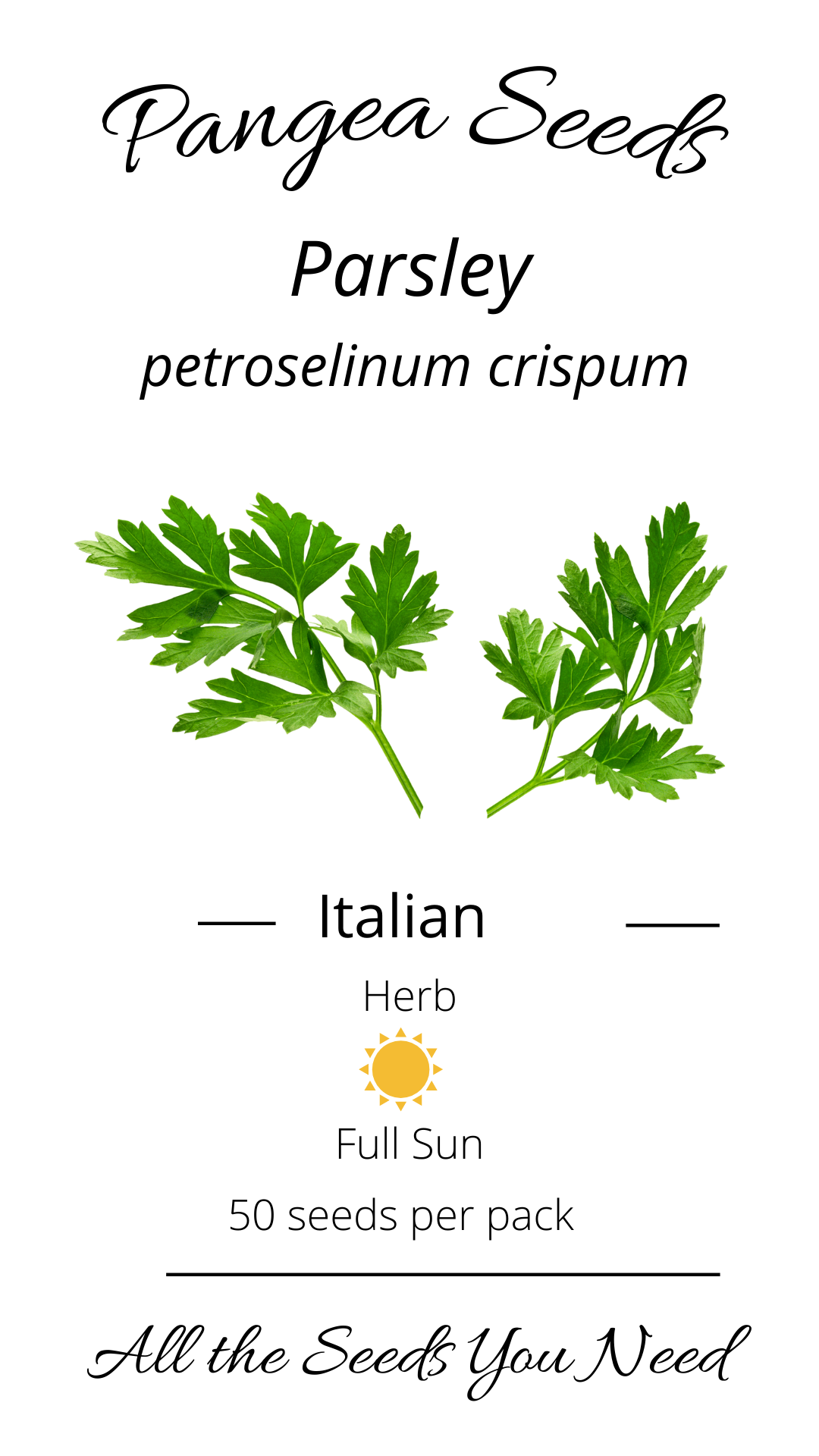 Italian Parsley