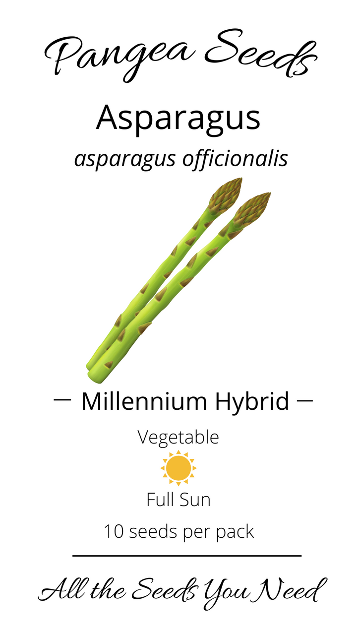 Millennium Hybrid Asparagus