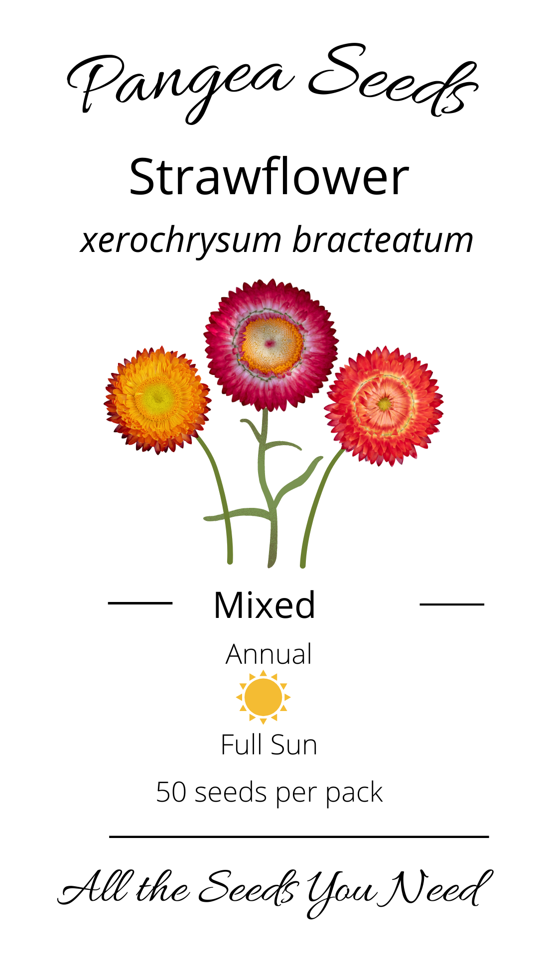 Mixed Strawflower