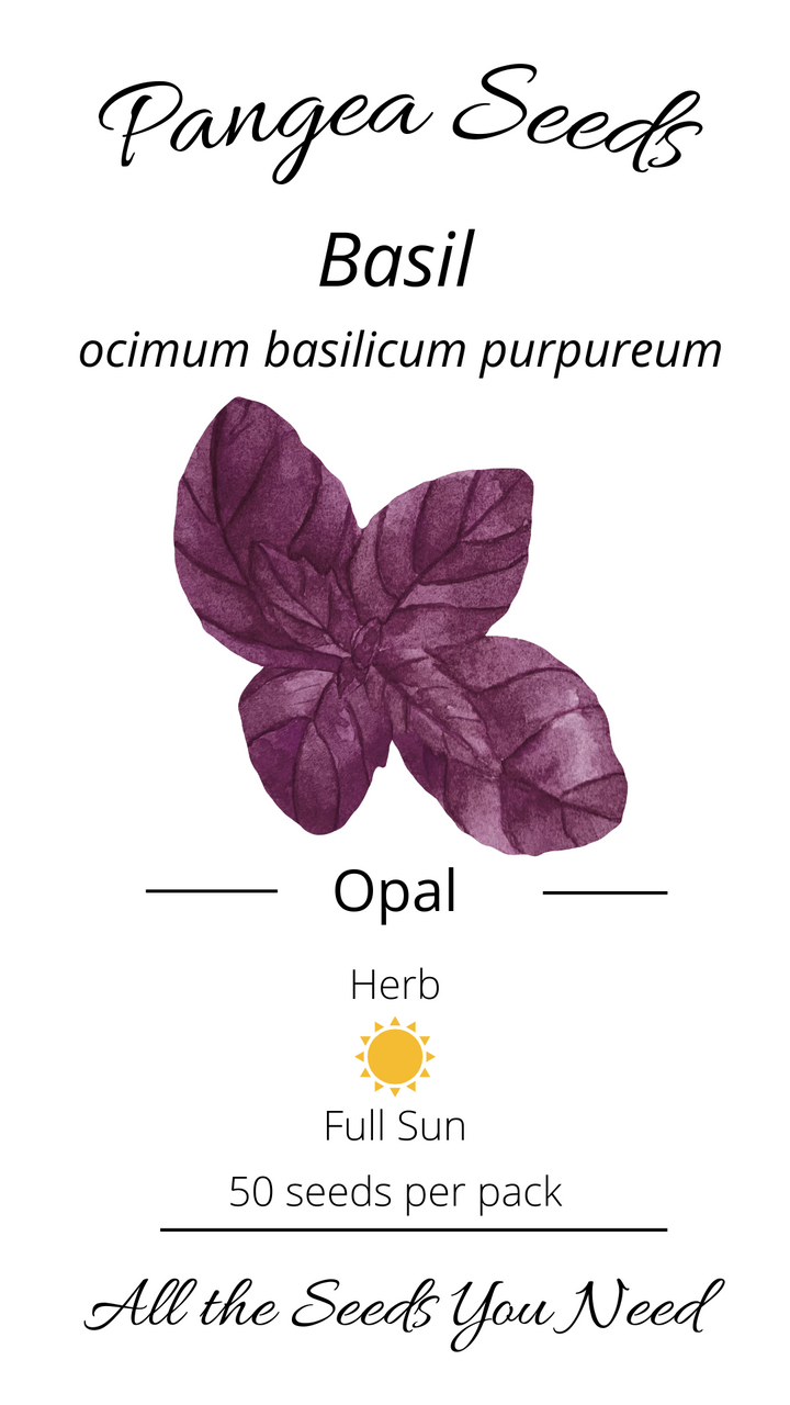 Opal Basil