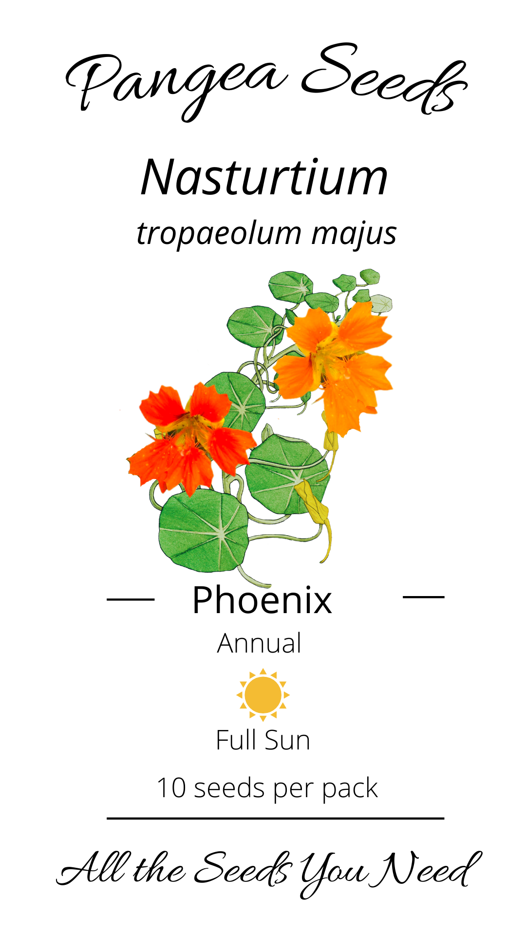 Phoenix Nasturtium