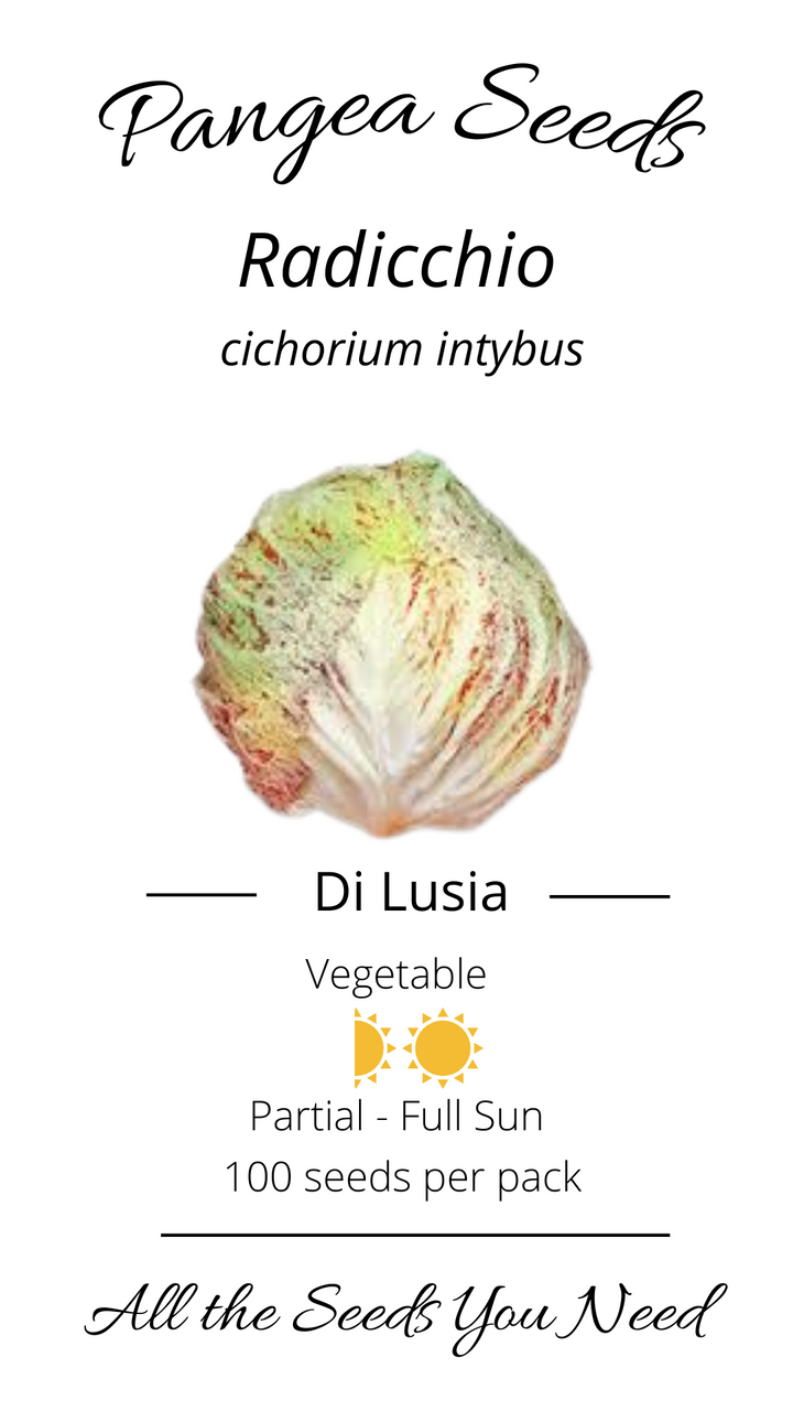 Radicchio di Lusia