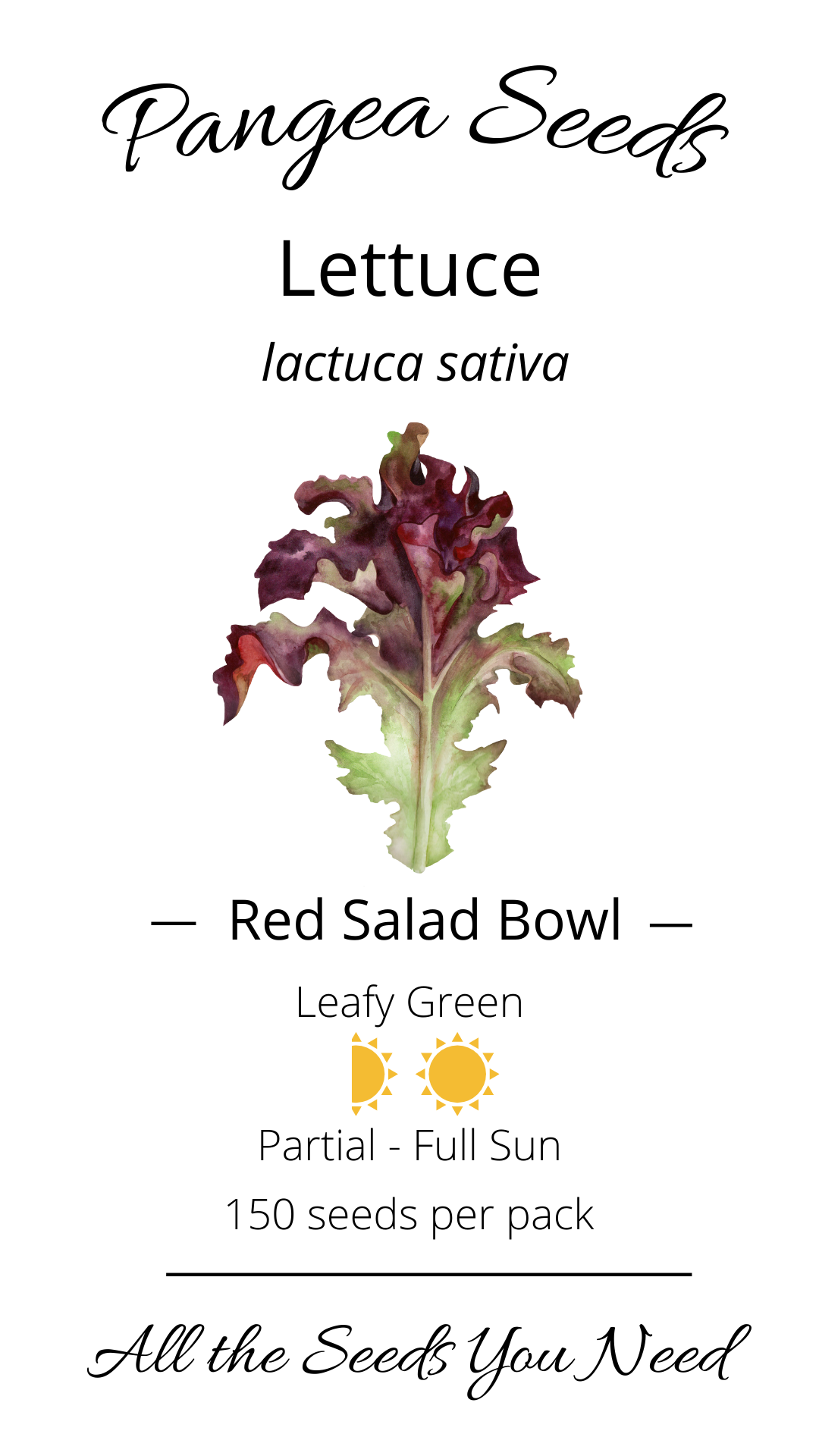 Red Salad Bowl