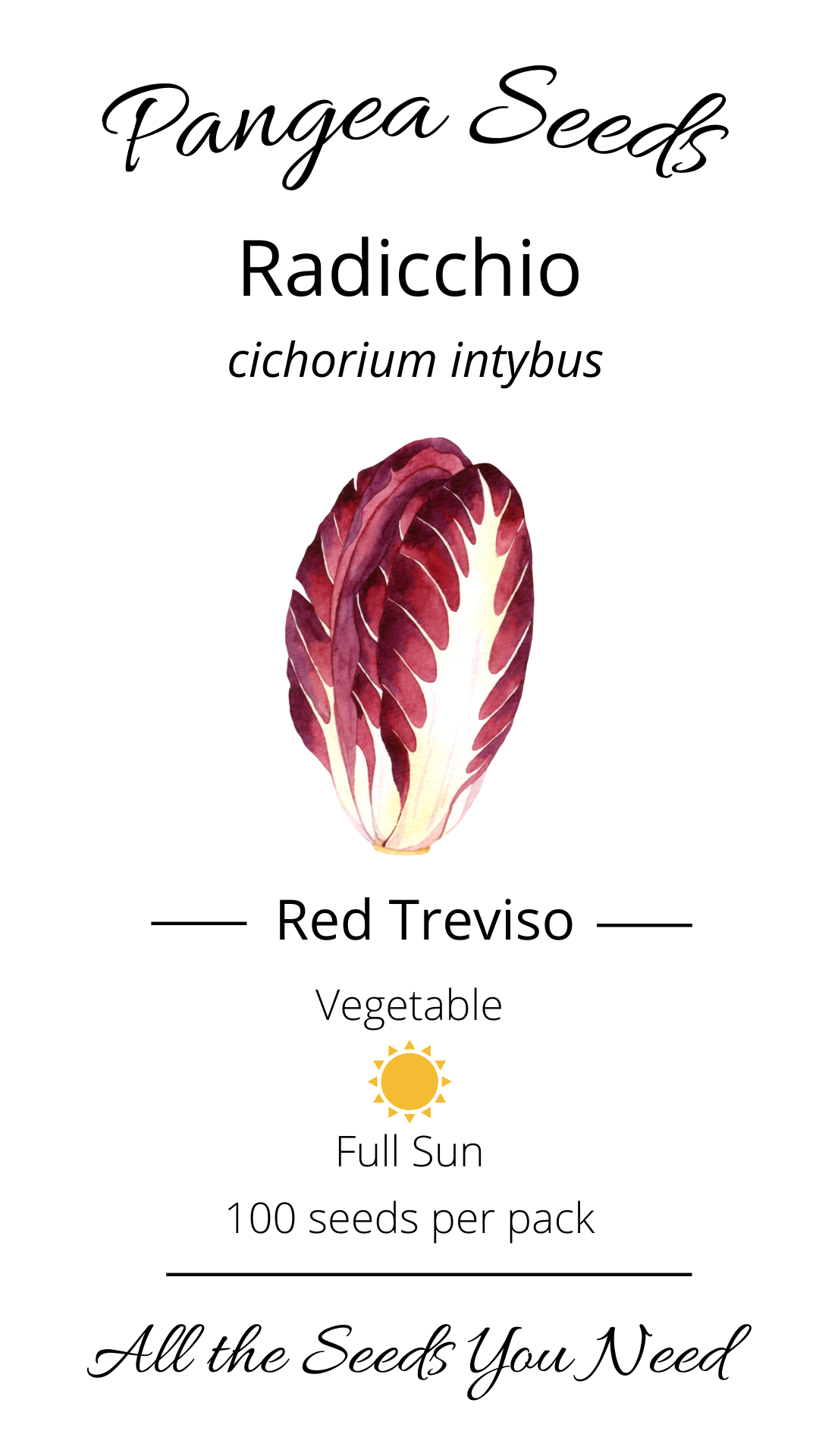 Red Treviso Radicchio