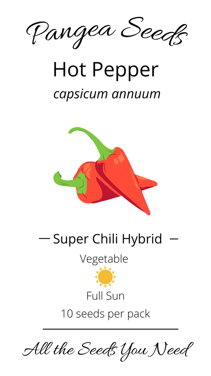 Super Chili Hybrid Pepper