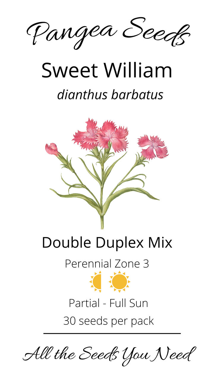 Sweet William Double Duplex Mix