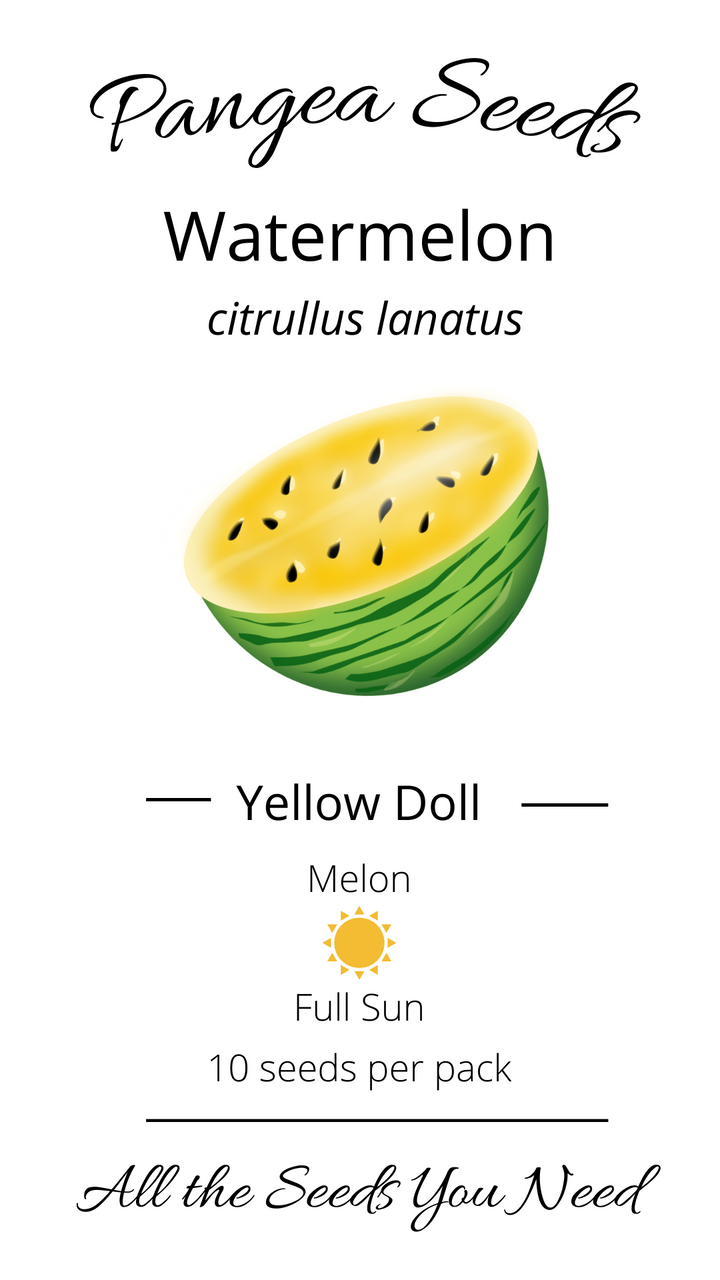 Yellow Doll Watermelon