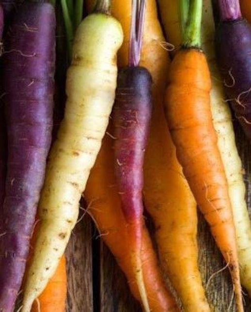 Rainbow Blend Carrot