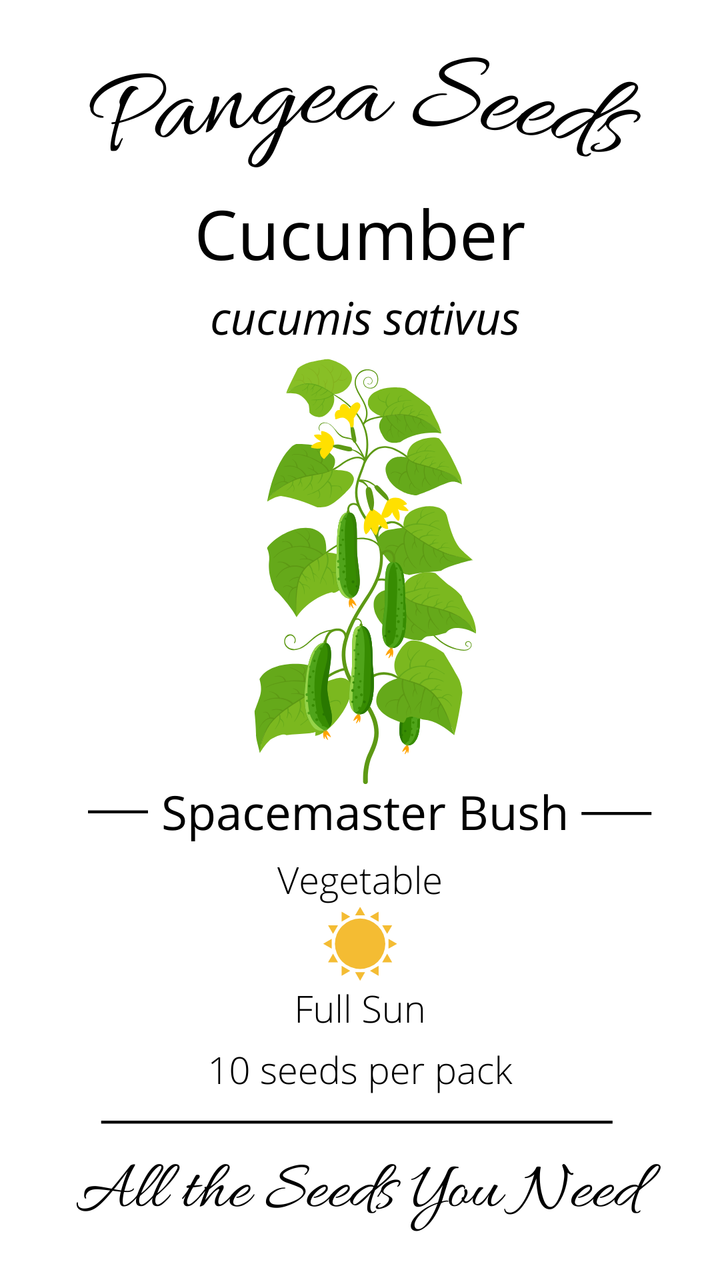 Spacemaster Bush Cucumber