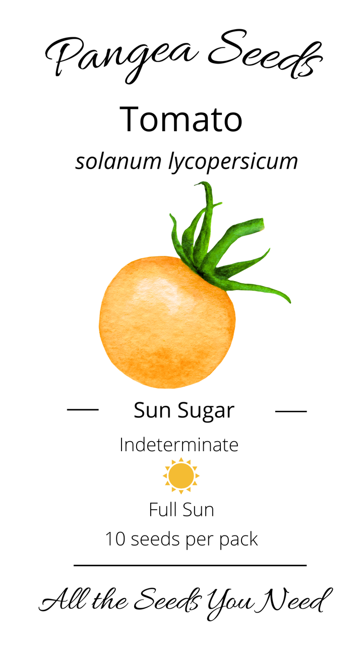 Sun Sugar Tomato