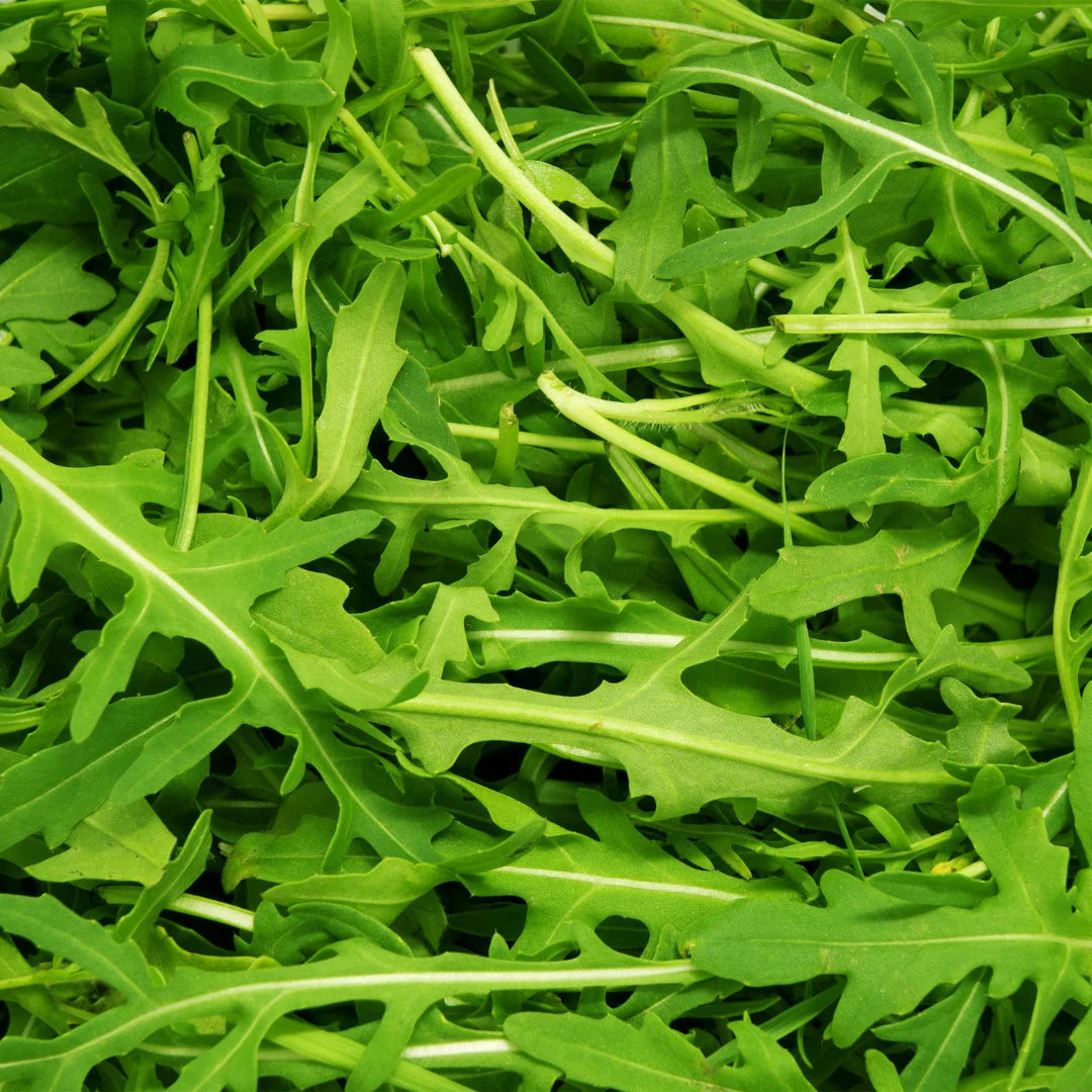 Wildfire Wild Arugula