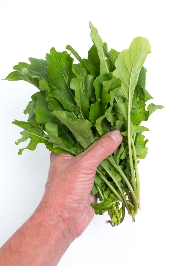 Arugula (Roquette)