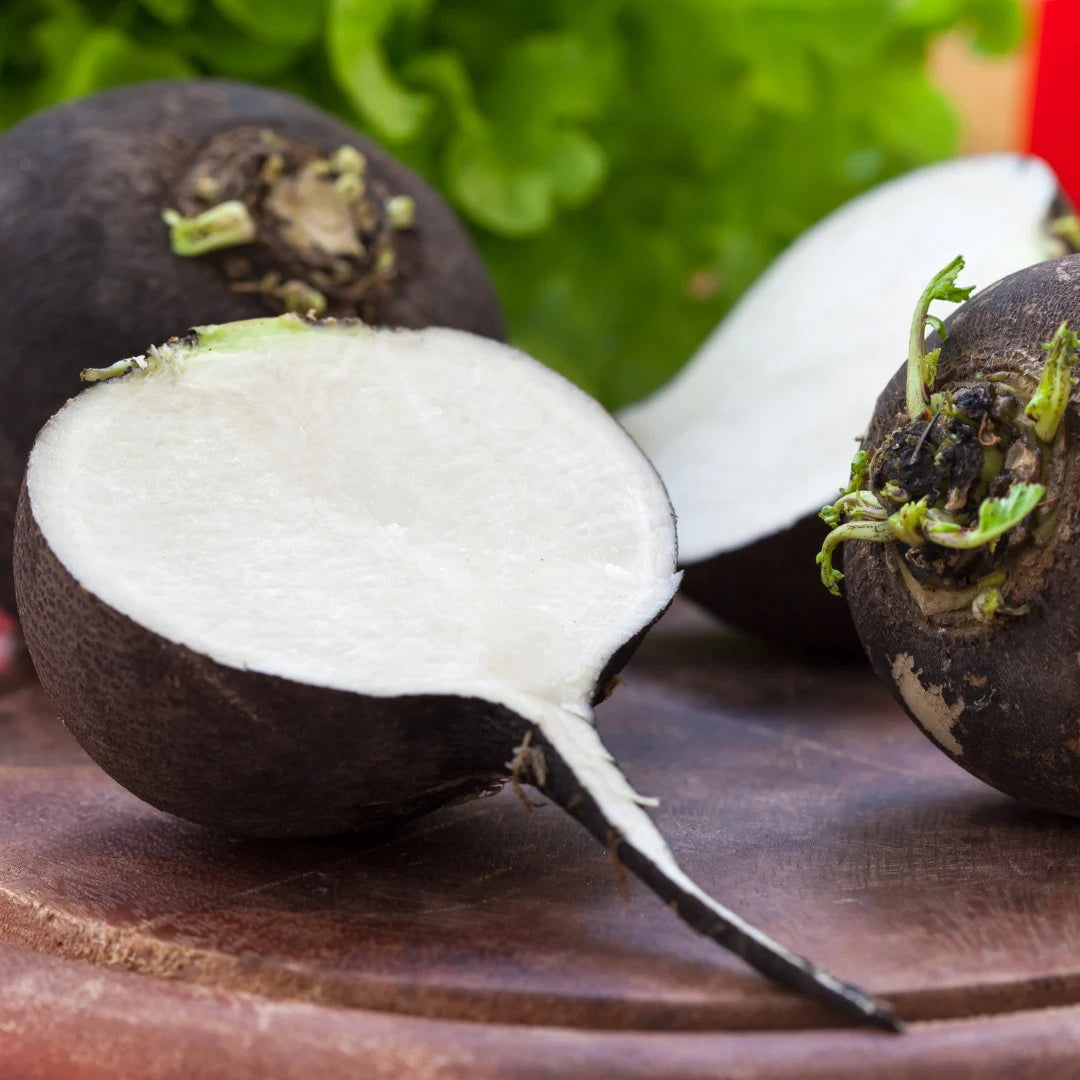 Black Spanish Radish