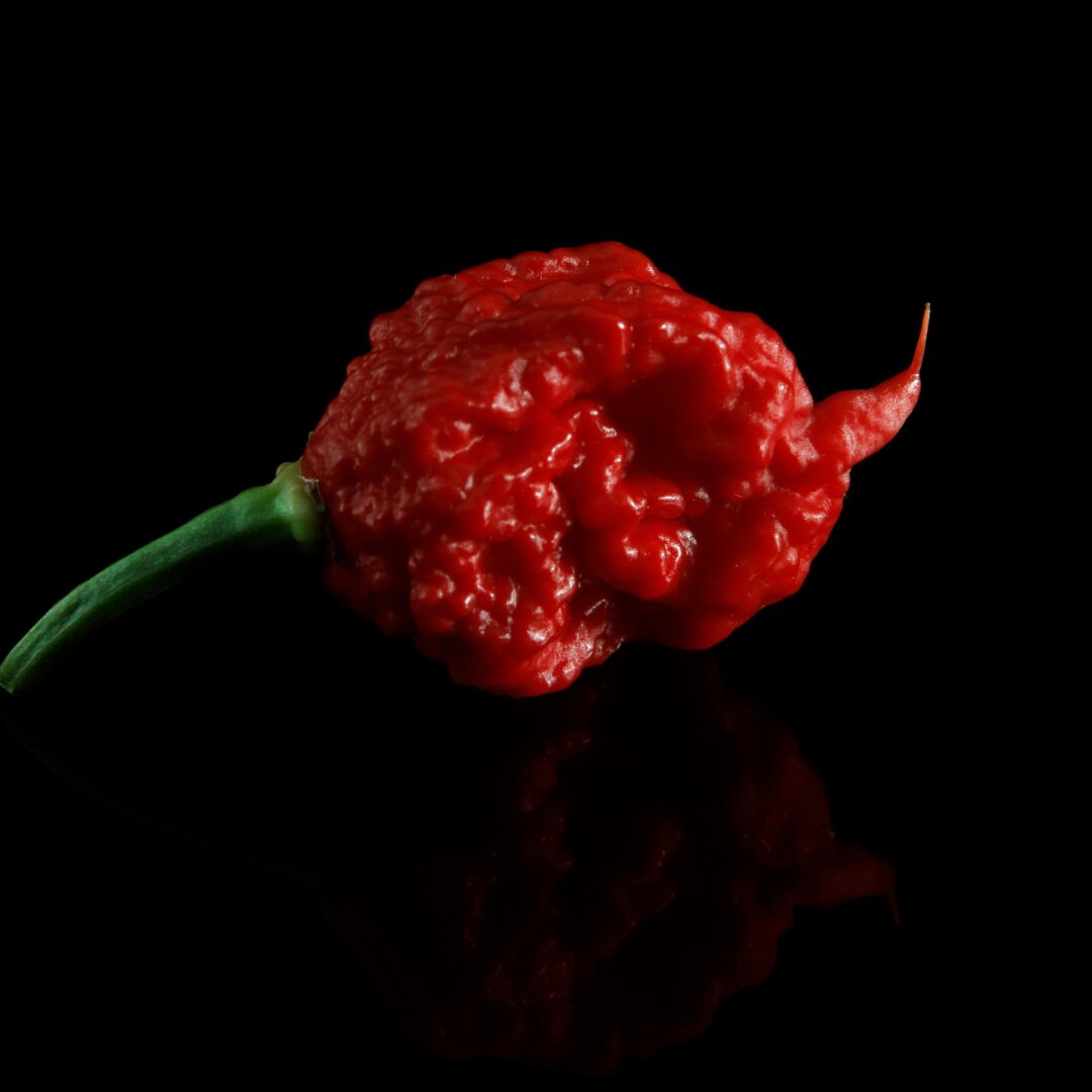 Carolina Reaper Pepper