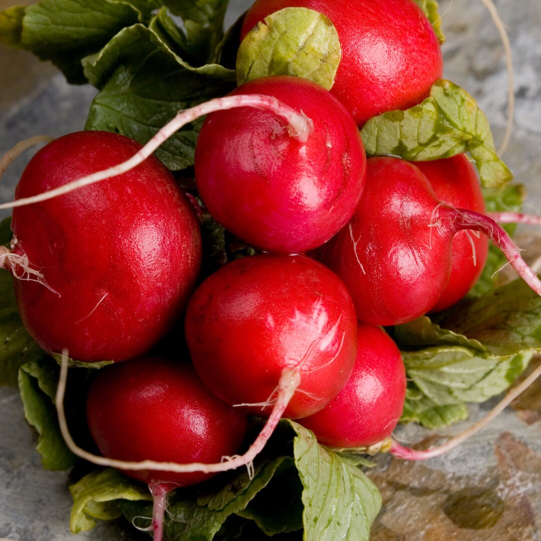 Cherry Belle Radish