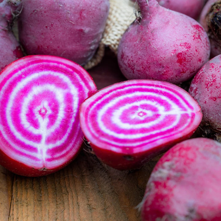 Chioggia/ Candy Cane Beet