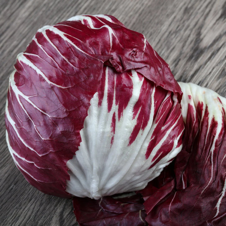 Rossa di Verona Radicchio