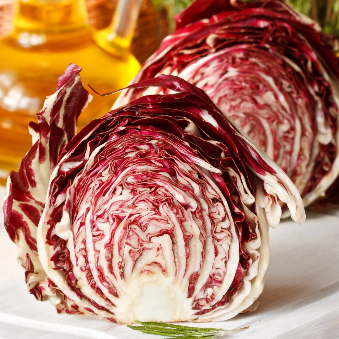 Rossa di Verona Radicchio