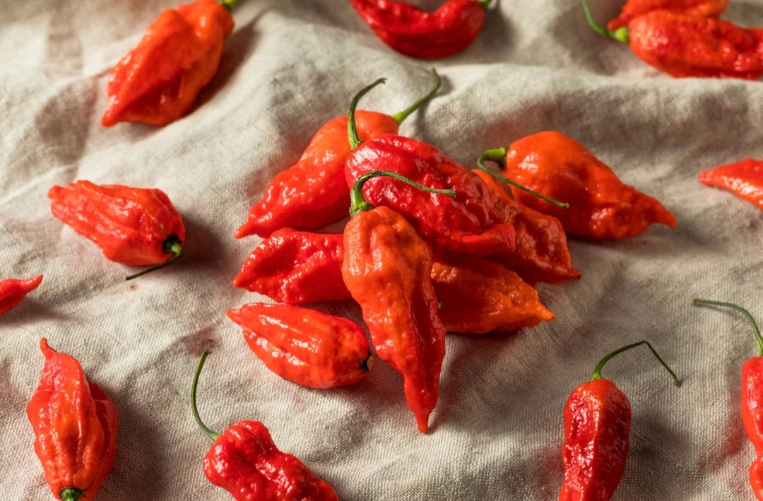 Ghost Pepper