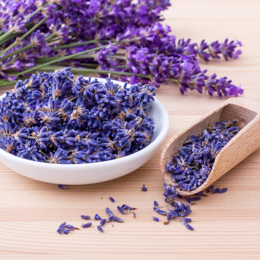 English Lavender