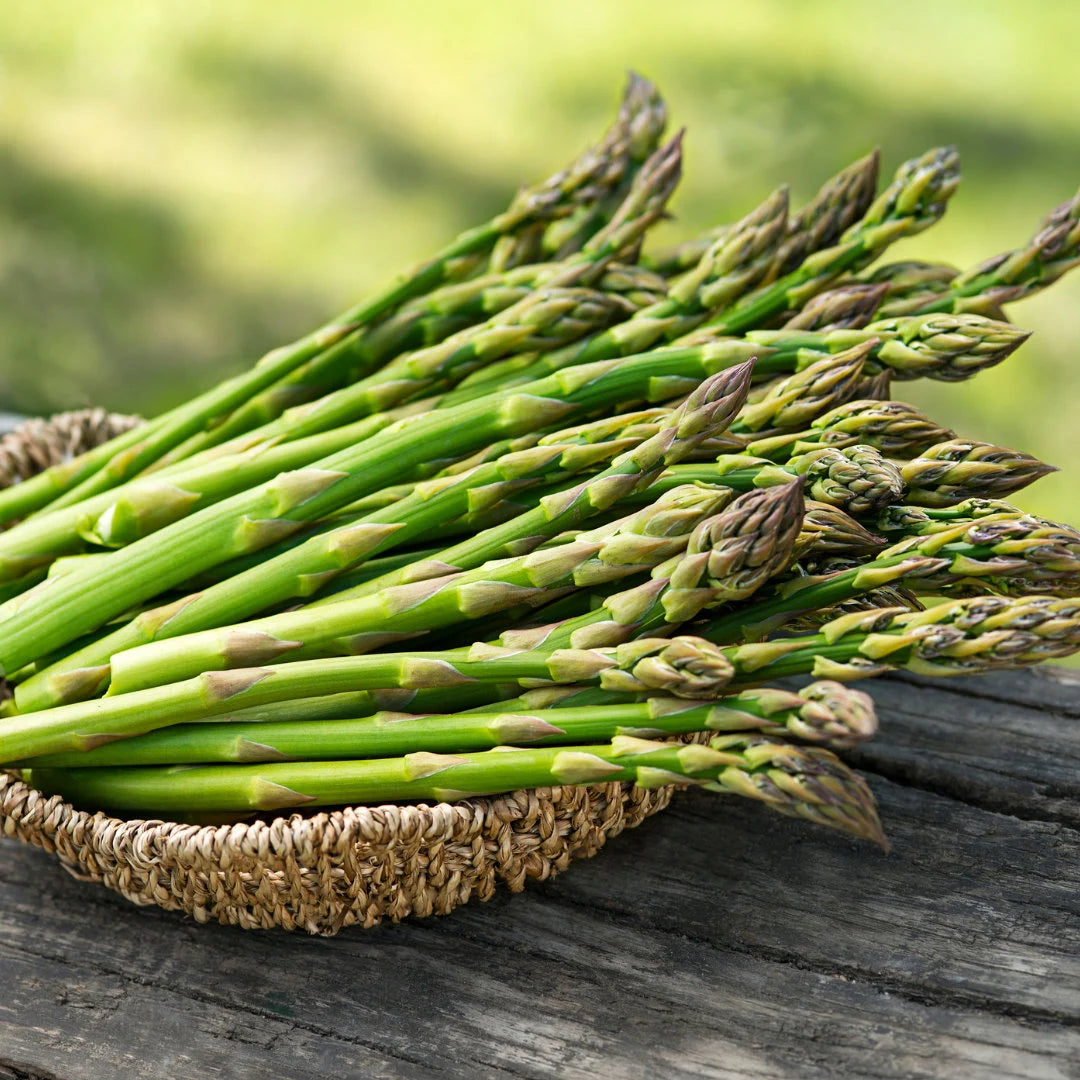 Mary Washington Asparagus