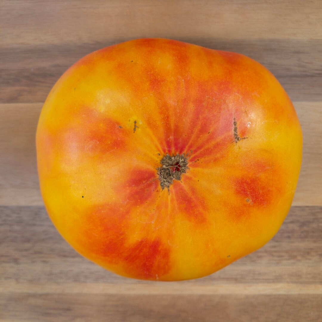 Old Striped German Tomato