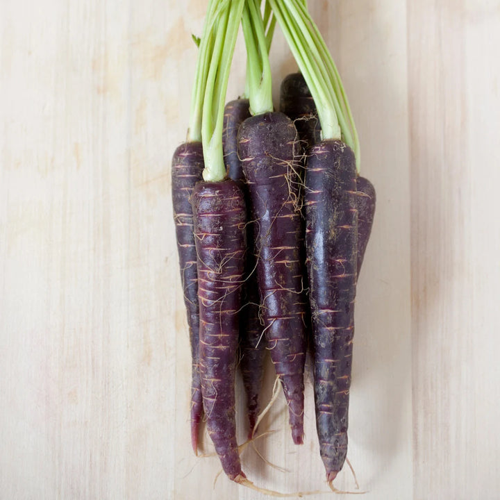 Purple Hybrid Carrot