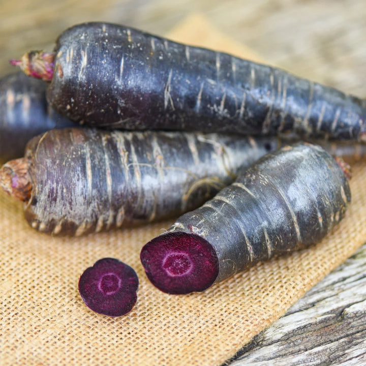 Purple Hybrid Carrot