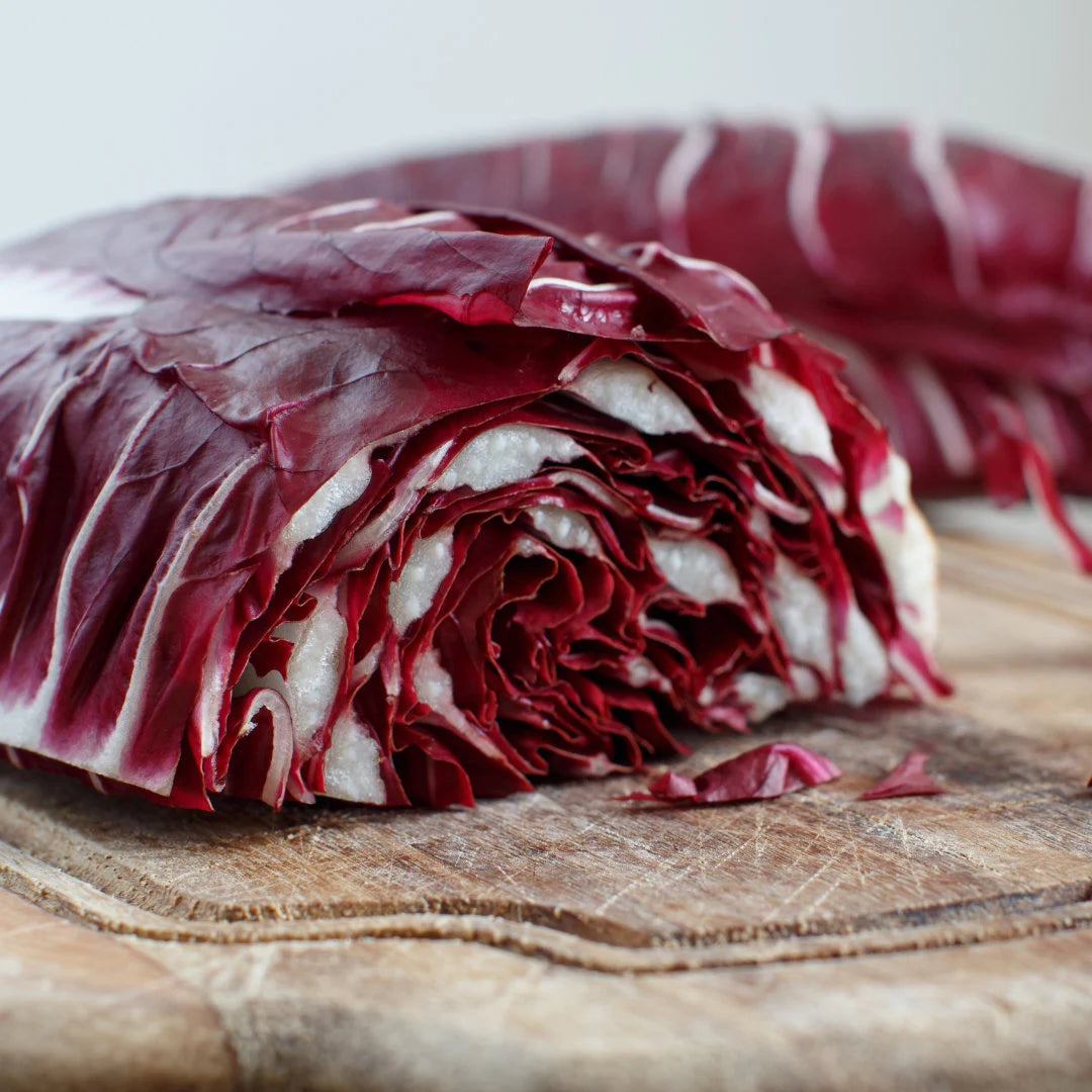 Red Treviso Radicchio