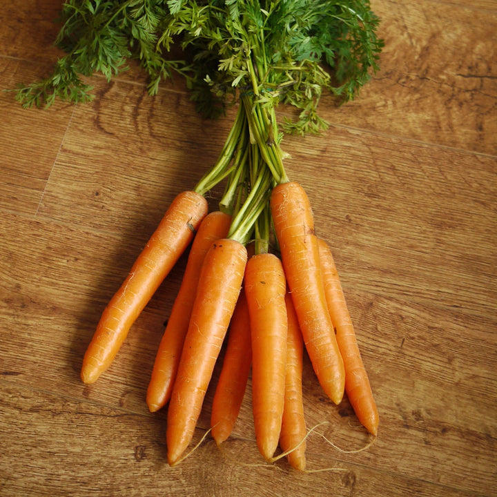 Royal Chantenay Carrot