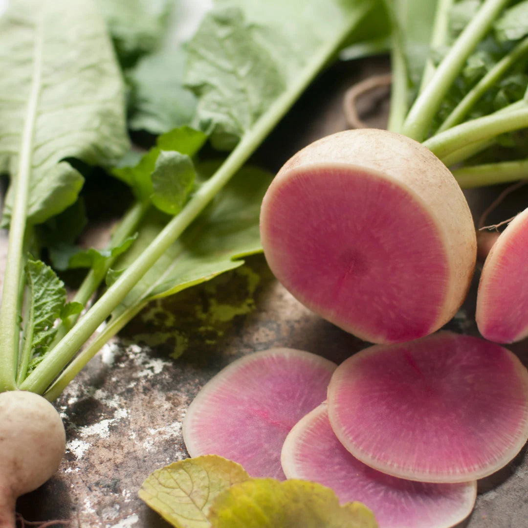 Watermelon Radish