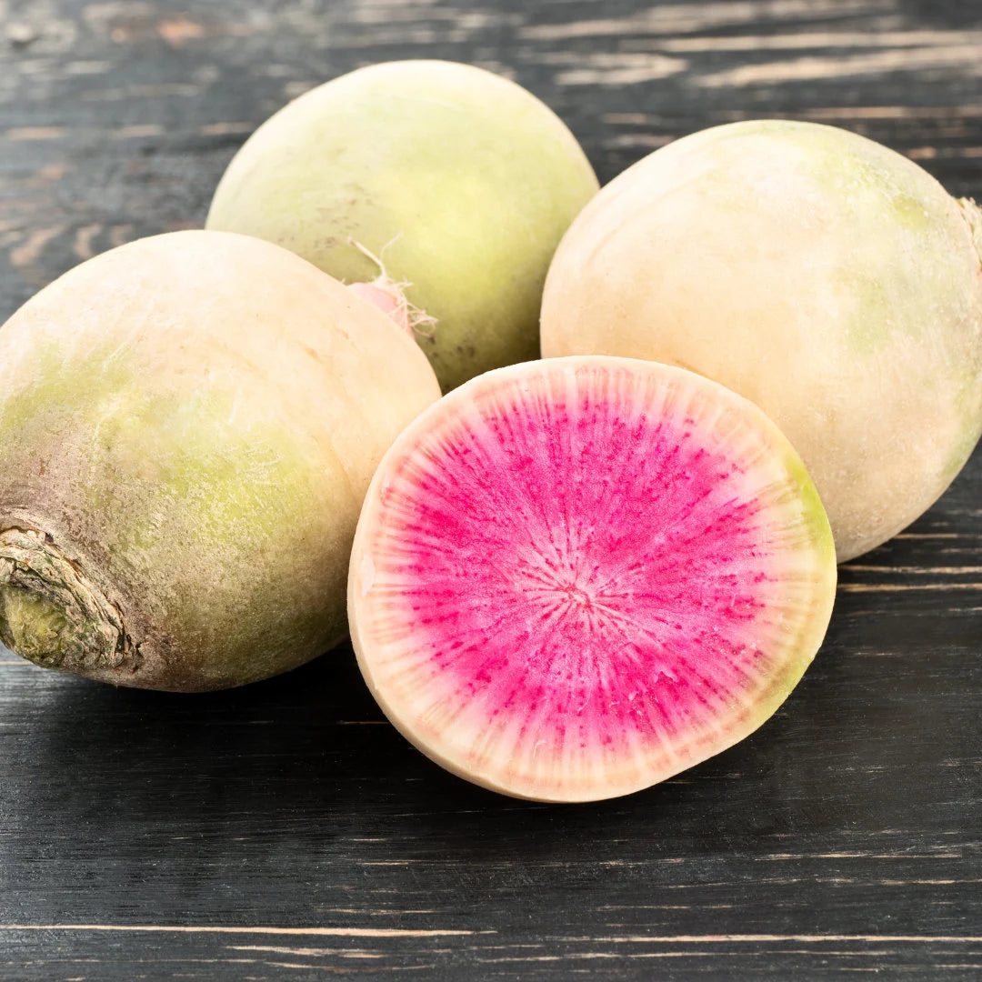 Watermelon Radish