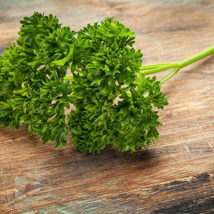 Curled Parsley