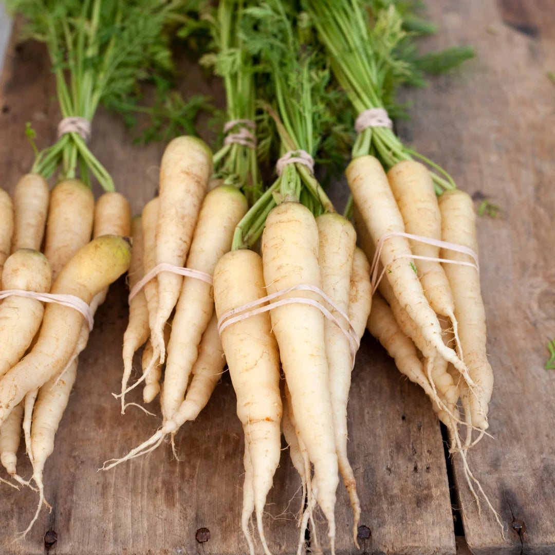 White Hybrid Carrot