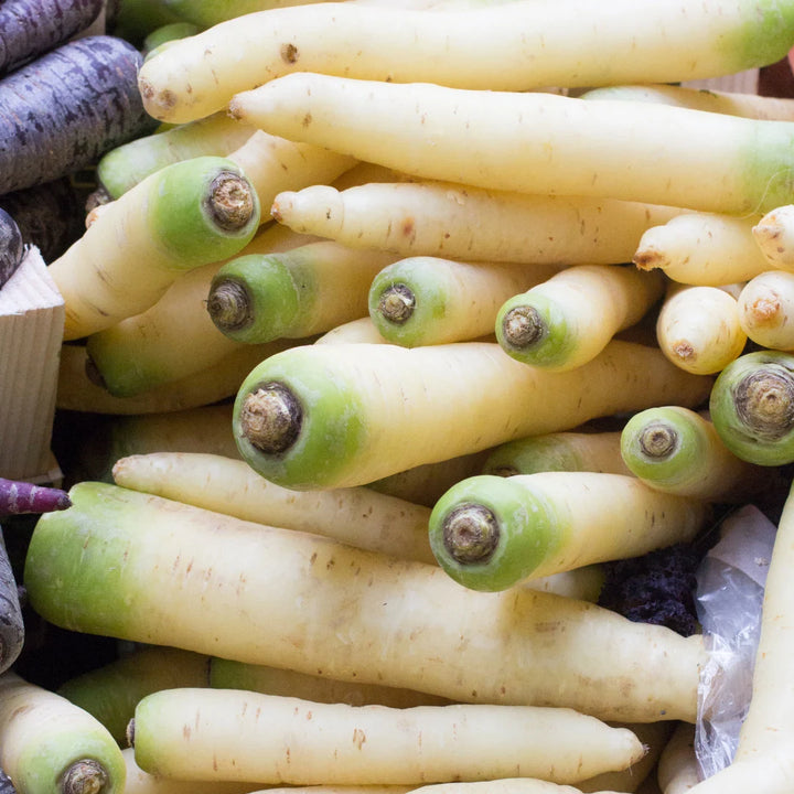 White Hybrid Carrot