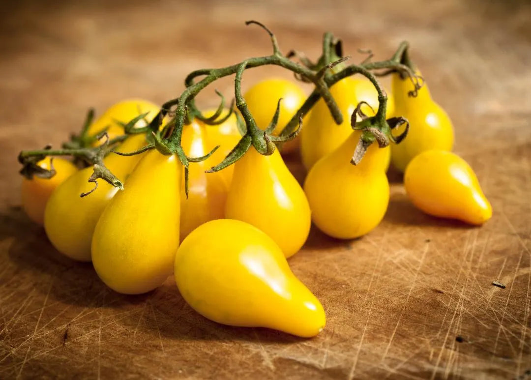 Yellow Pear-Shaped Tomato