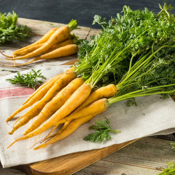 Yellow Hybrid Carrots